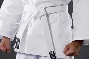 Завершение этапа Обучения Белых поясов в компании Илим