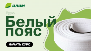 Дистанционный курс «Белый пояс» для Группы «Илим». Финишная прямая