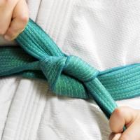 Скидка на три курса "Зеленых поясов"