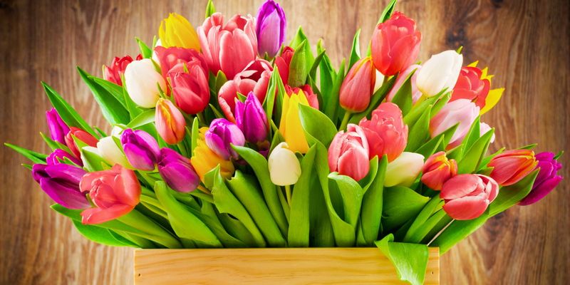 С 8 Марта Милые Дамы!