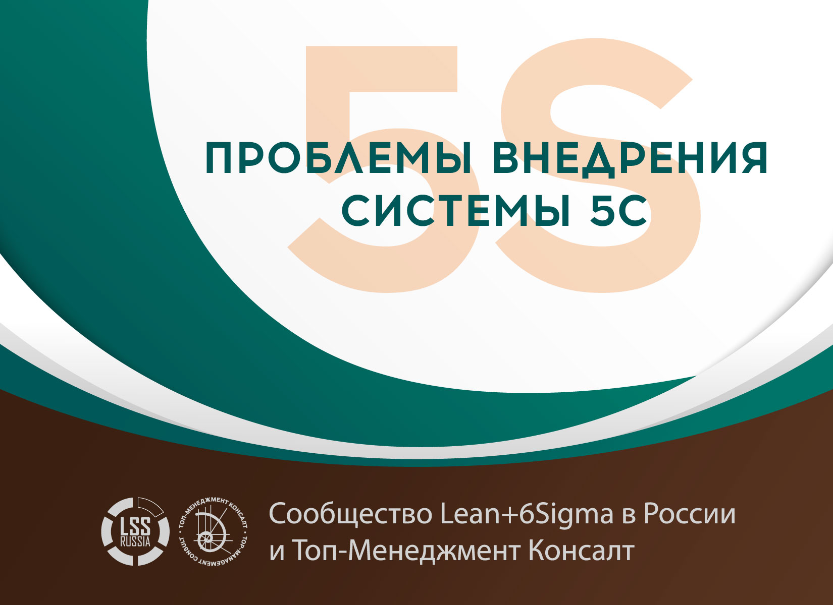 Проблемы внедрения системы 5С