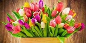 С 8 Марта Милые Дамы!